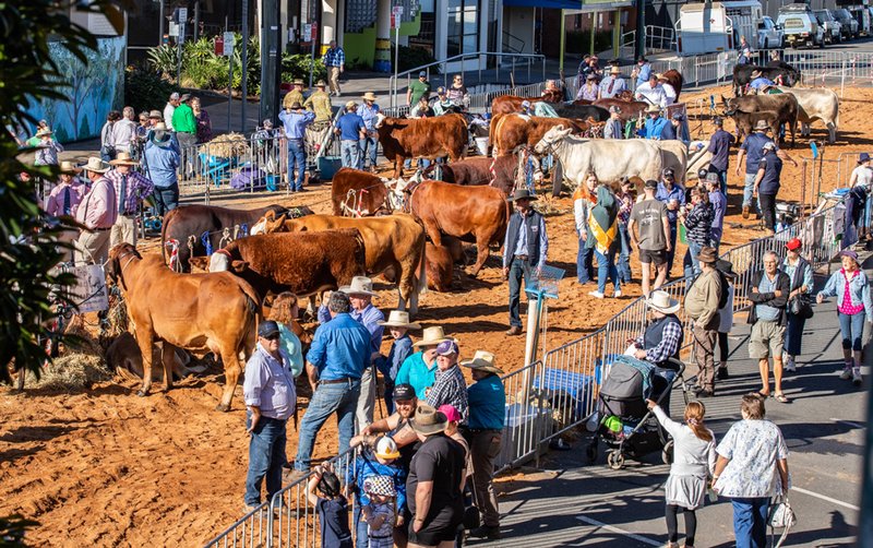 Best beef casino erfahrungen in Germany
